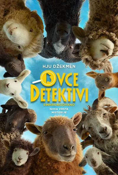 Ovce detektivi sinh